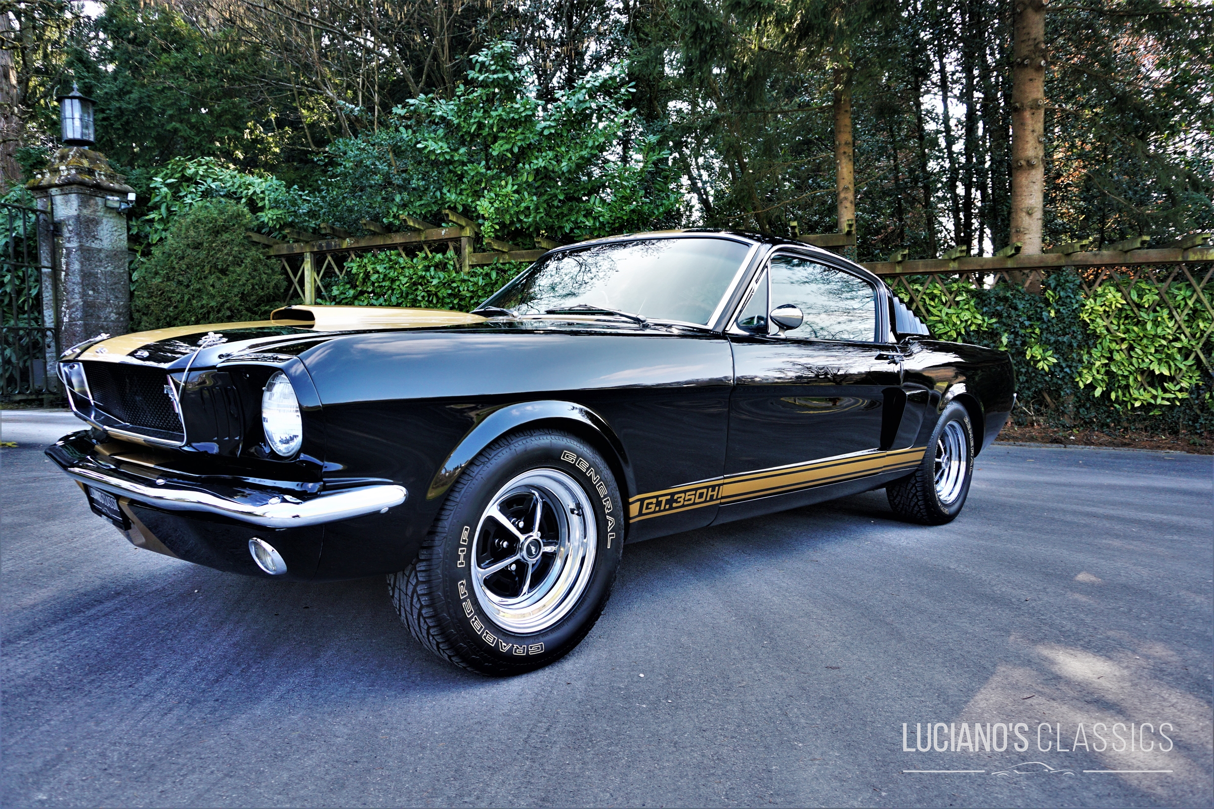 1965 Ford Mustang GT350 H Clone