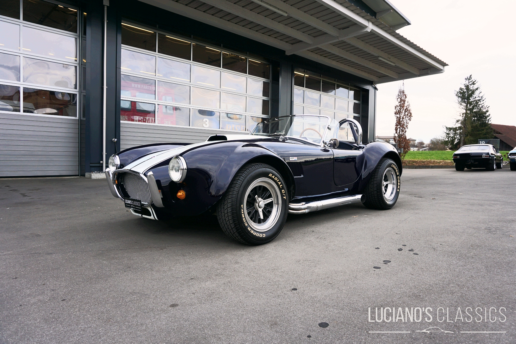 1987 WEINEM Shelby Cobra Replica