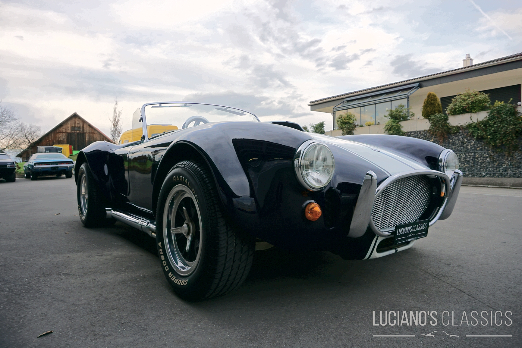 1987 WEINEM Shelby Cobra Replica