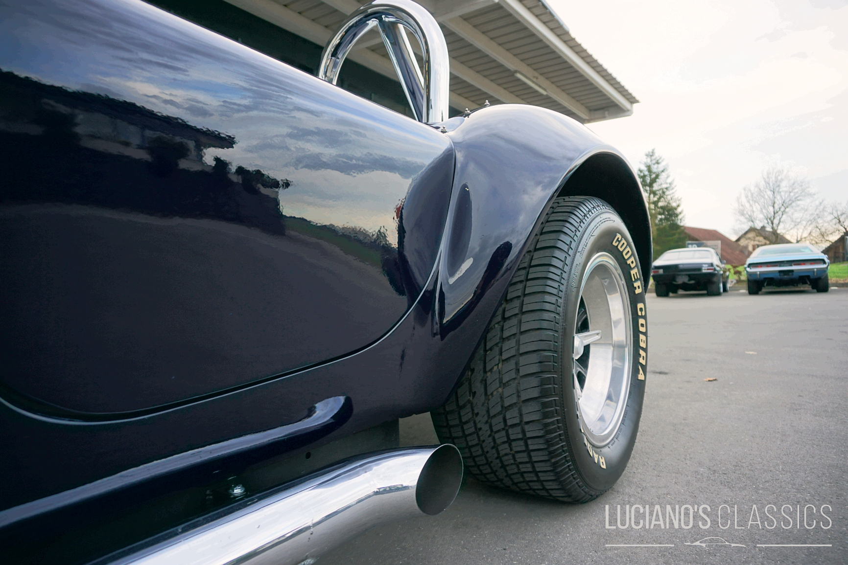 1987 WEINEM Shelby Cobra Replica