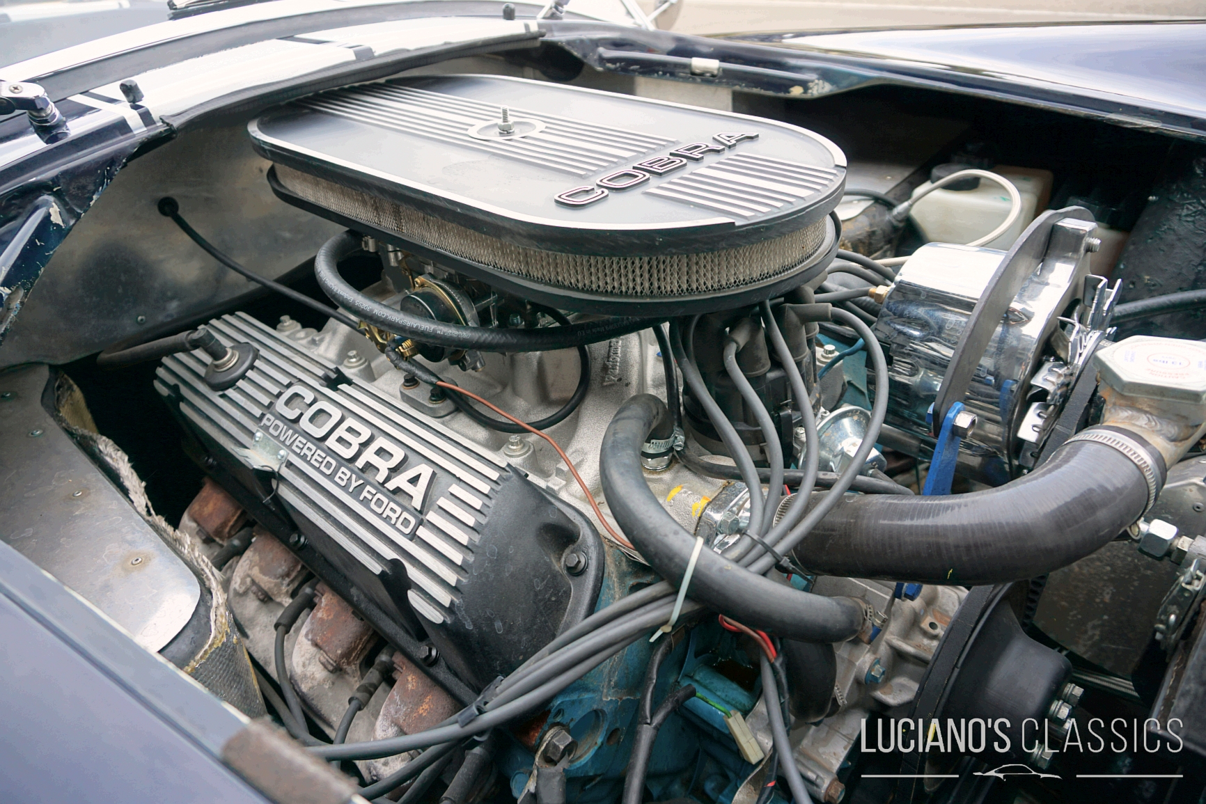 1987 WEINEM Shelby Cobra Replica