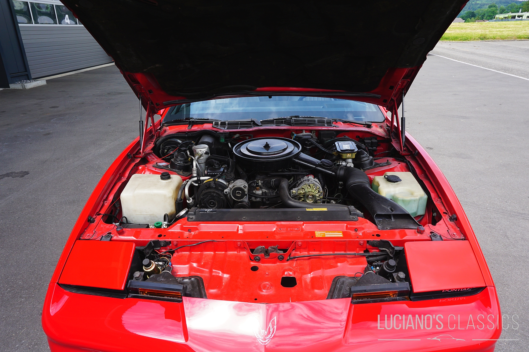 1989 Pontiac Firebird Trans Am