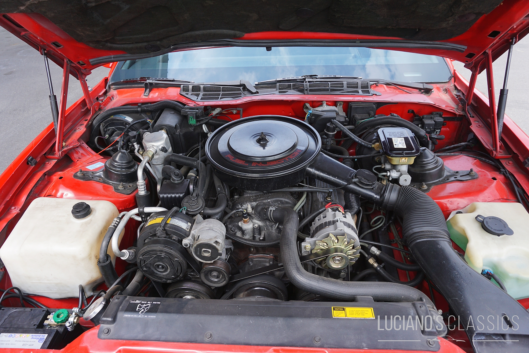 1989 Pontiac Firebird Trans Am