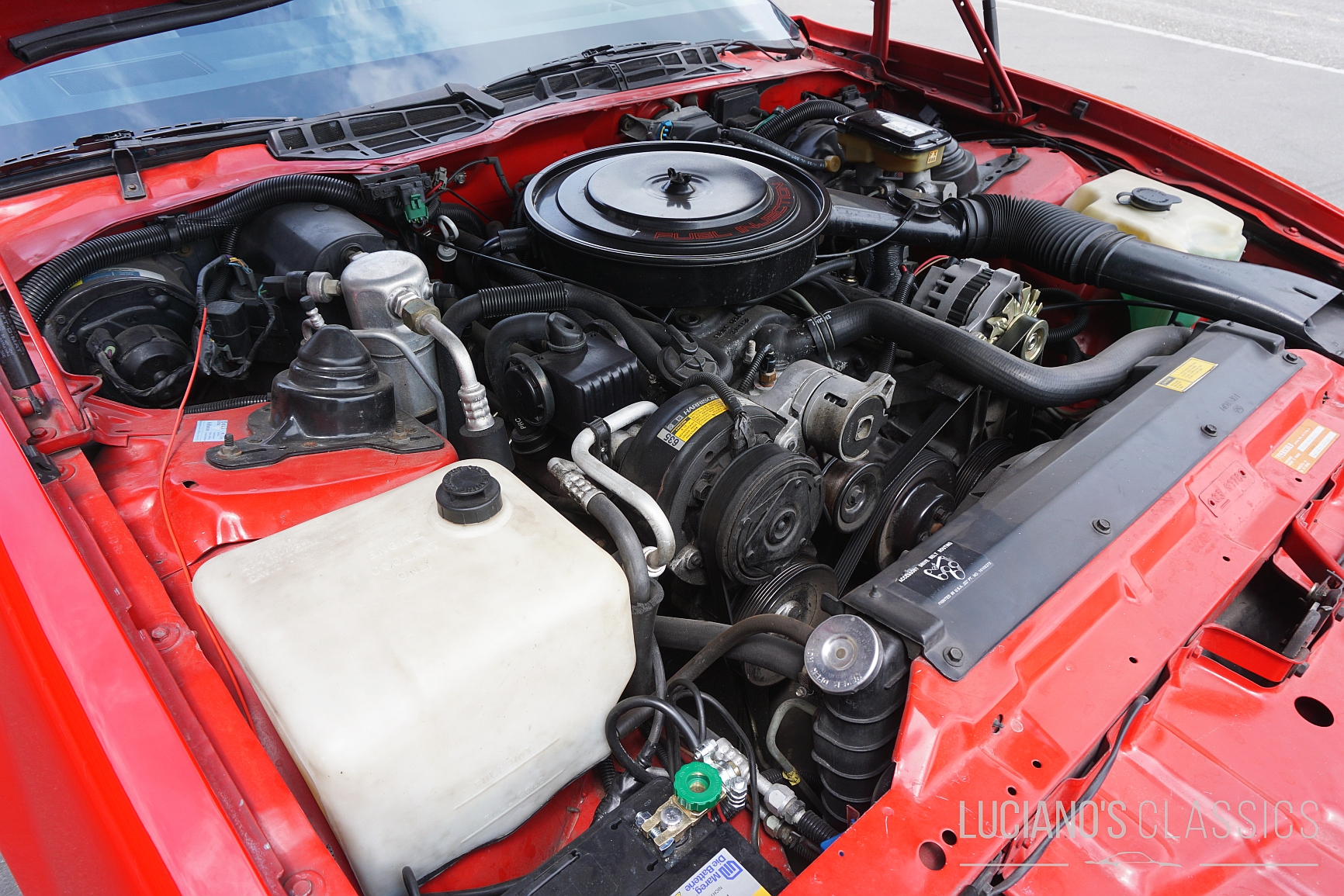 1989 Pontiac Firebird Trans Am