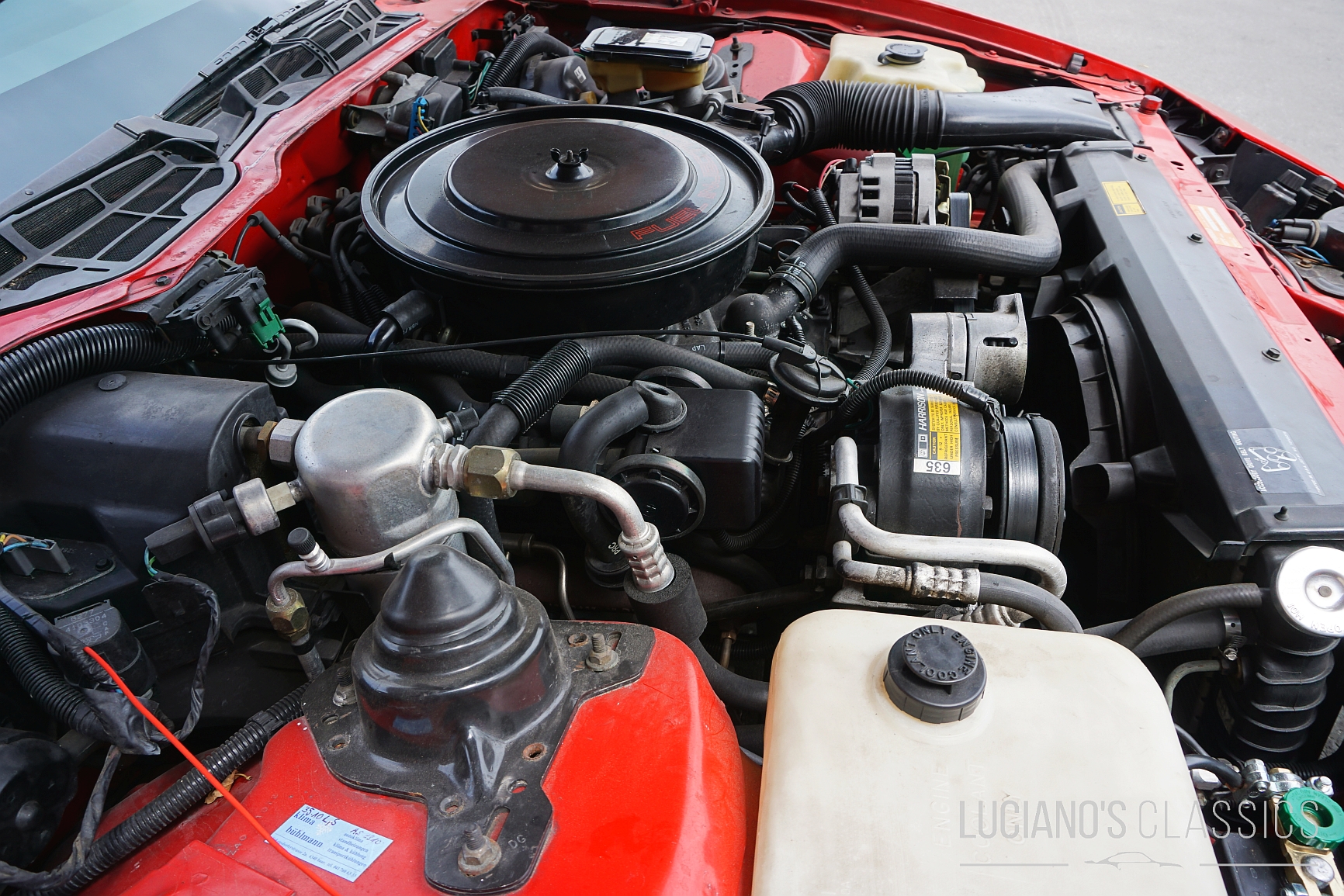 1989 Pontiac Firebird Trans Am